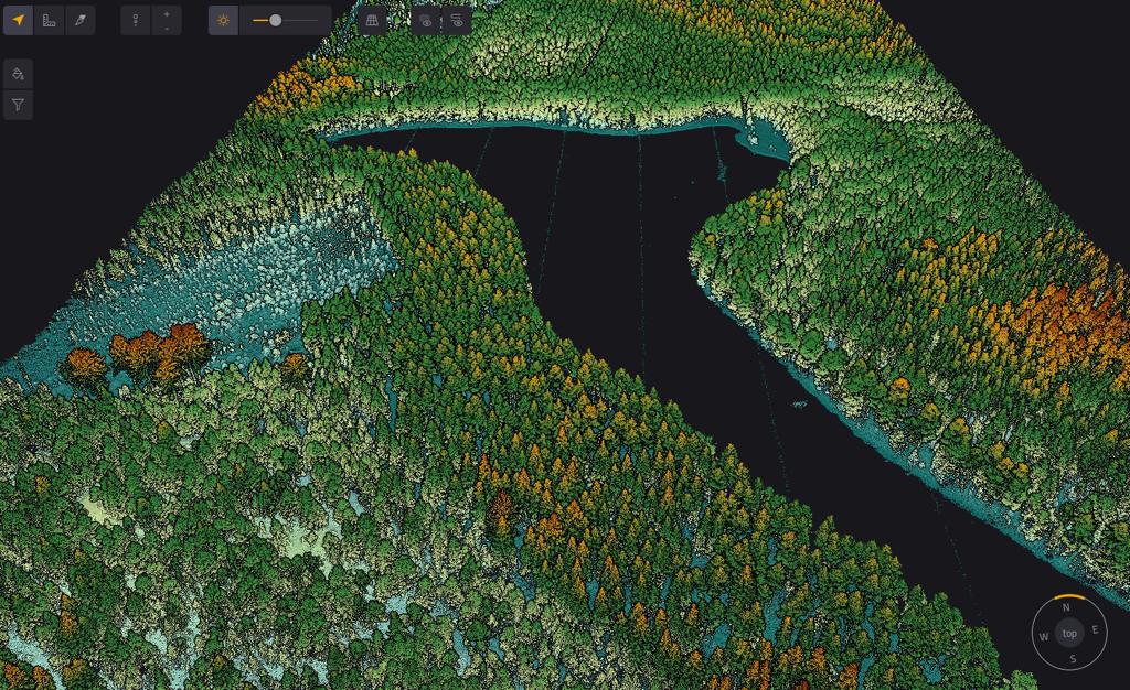 Forest LiDAR point cloud