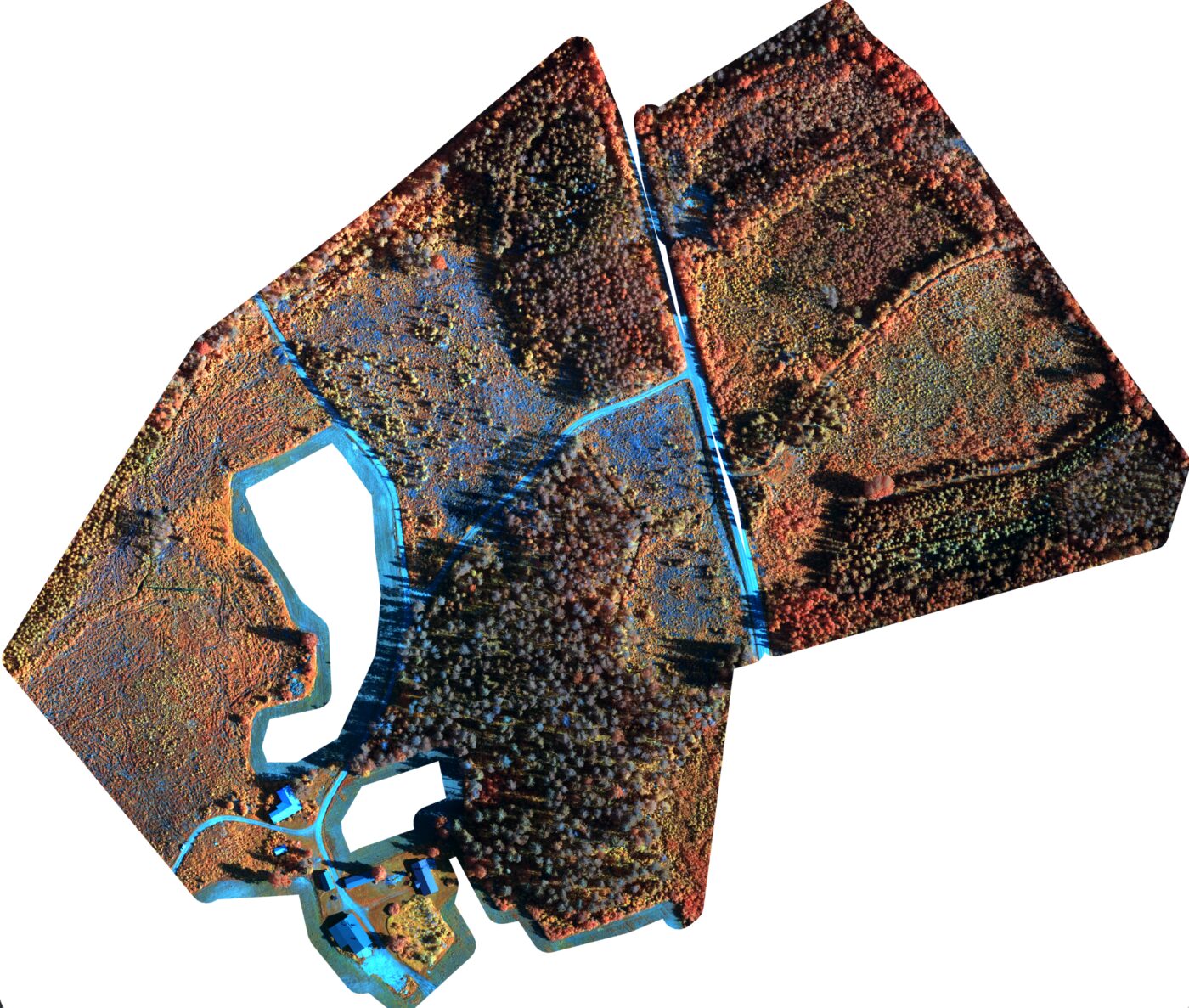 zerticarbon digitalization 4 multispectral forest mapping
